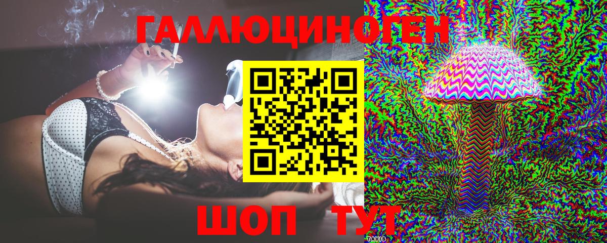 Псилоцибиновые грибы MAGIC MUSHROOMS  Вход с VPN  Новосибирск 